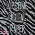 Lifetime Digital Paper/Background Drive